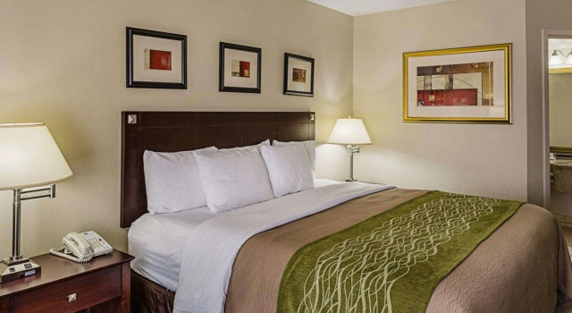 Двухместный номер Standard Comfort Inn Southwest Fwy at Westpark