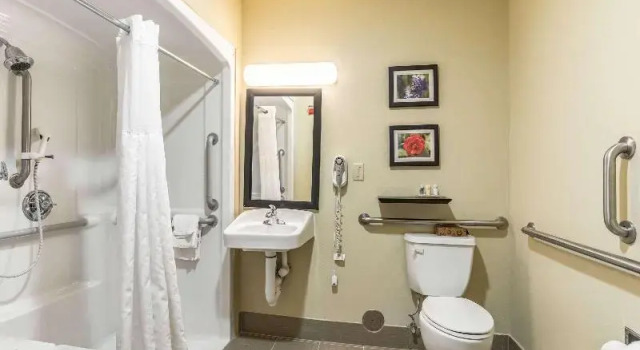 Двухместный номер Standard Comfort Inn & Suites Tuscumbia-Muscle Shoals