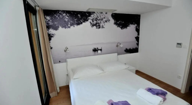 Апартаменты c 1 комнатой с балконом Apartments Villa Tomislav