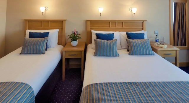 Двухместный номер Classic Rochestown Lodge Hotel