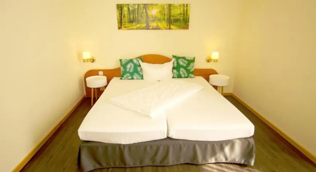 Двухместный номер Classic Hotel Tannenhof Haiger