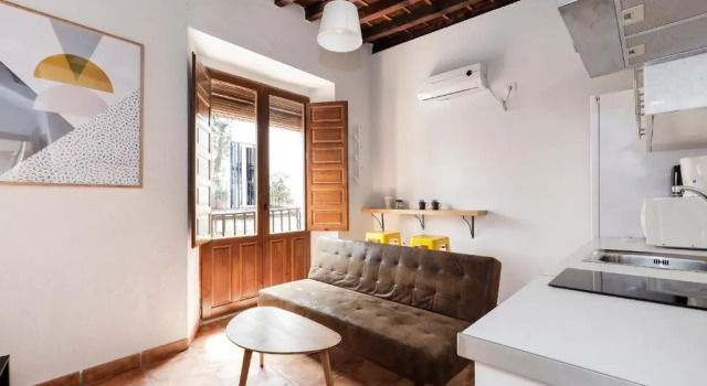 Апартаменты c 1 комнатой Urban Suites Granada