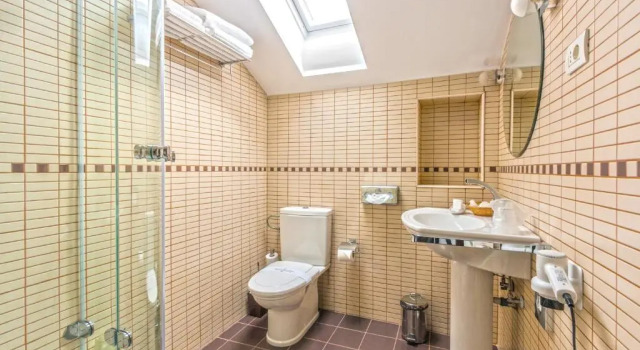 Двухместный номер Standard Pensiunea Leonida - RESORT LEONIDA