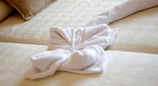 Двухместный номер Standard Hotel Ecologico Toral