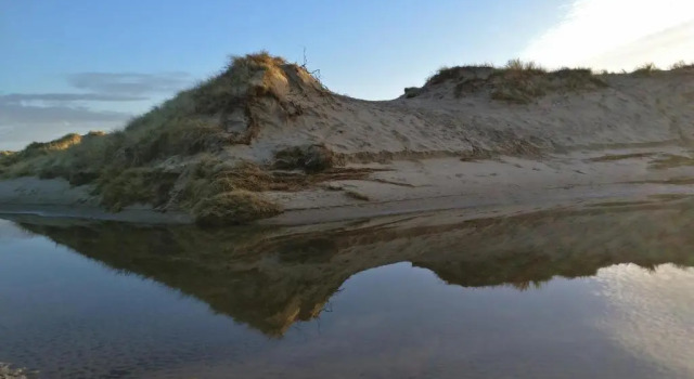 Vakantiebungalow Texel, Buchen Sie Hotel De Cocksdorp Texel