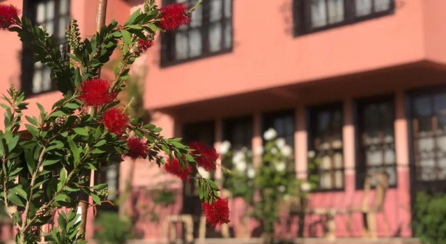 Hotel Palme Dalyan
