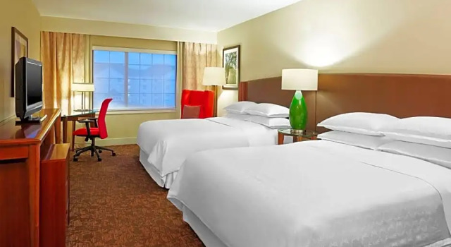 Standard Vierer Klub Zimmer Sheraton Augusta Hotel