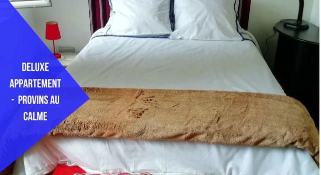 Deluxe Apartment Provins, Забронировать Апартаменты/квартира Провен Seine-et-Marne