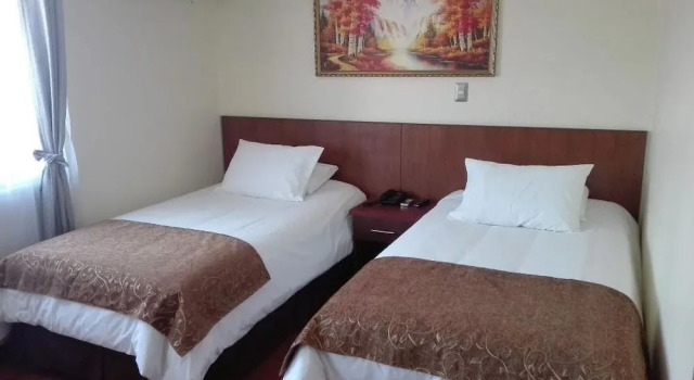 Hotel Newen, Prenota Hotel Hotel e alloggi a Temuco, Hotel