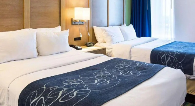 Четырёхместный номер Standard Comfort Suites Beachfront