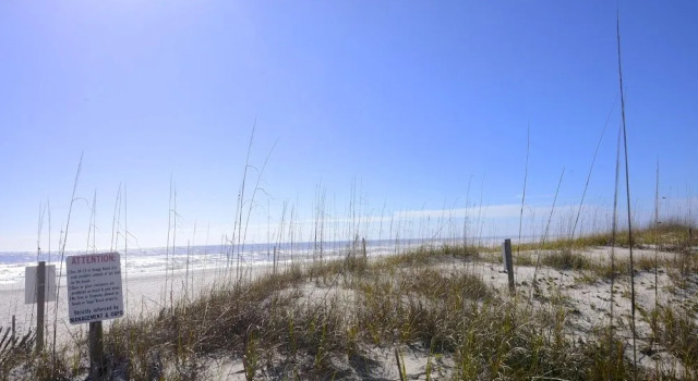 Sugar Beach 279, Boek Appartement Orange Beach 