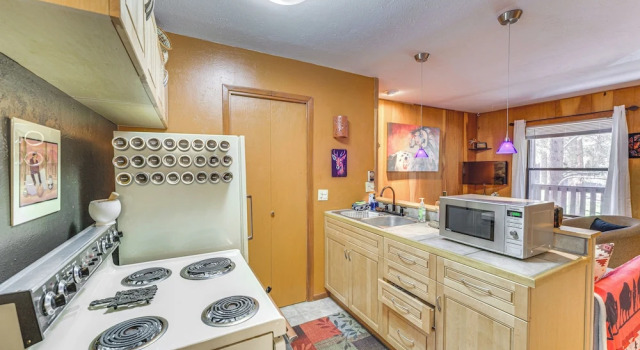 Easy Resort Access: Angel Fire Adventure Condo!