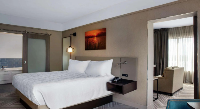 Двухместный люкс Hilton Garden Inn Mobile Downtown