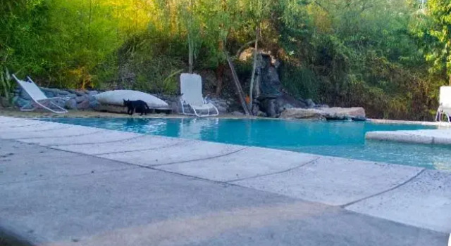 Exquisita habitación en suite en el corazón de Chacras de Coria, Prenota Hotel Hotel a Mendoza con piscina, Piscina