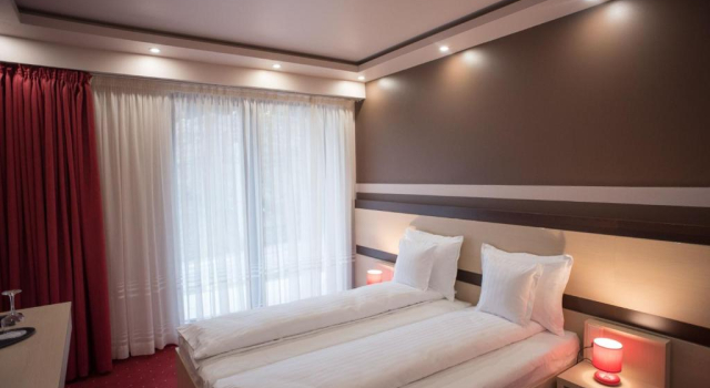 Двухместный номер Standard Homorod Hotel