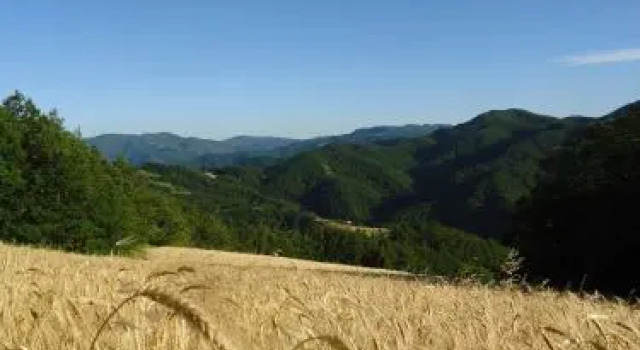 Agriturismo I Monti di Salecchio, Reserva ahora Hotel Palazzuolo sul Senio Mugello