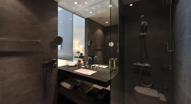 Номер Standard Hotel Vitznauerhof - Lifestyle Hideaway at Lake Lucerne