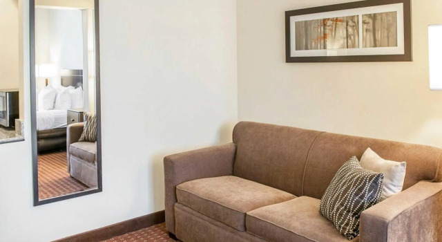 Люкс Comfort Suites Fort Wayne - Southwest