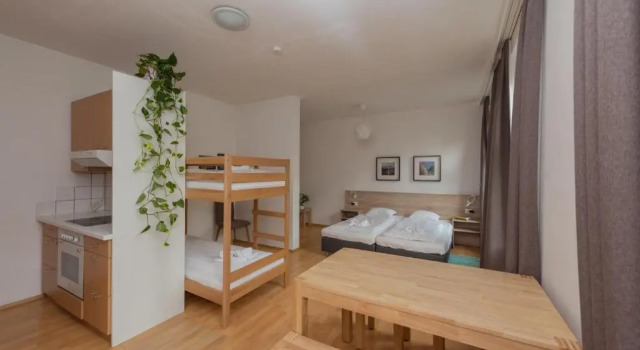 Номер Standard Metro Apartments Vienna