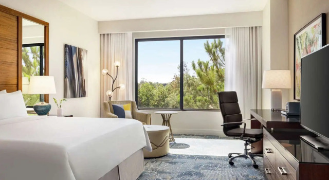Номер Standard The Woodlands Resort, Curio Collection by Hilton