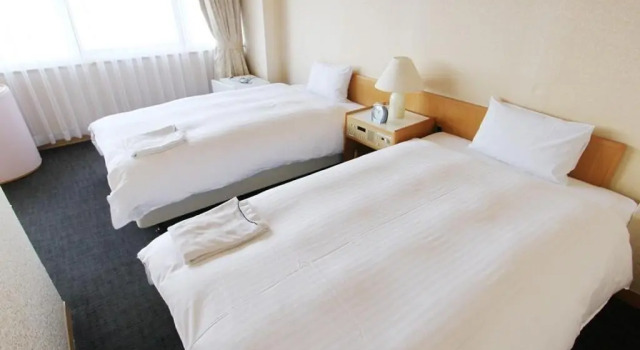 Двухместный номер Standard Smile Hotel Tokyo-Tamanagayama
