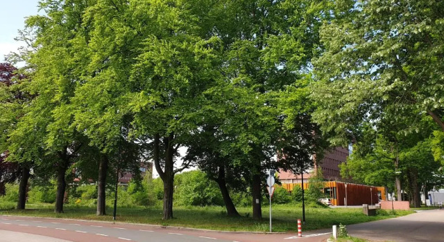 Студия Studio in Stijl
