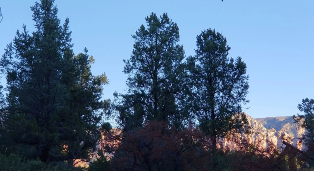 The Sedona Dream Maker B&B