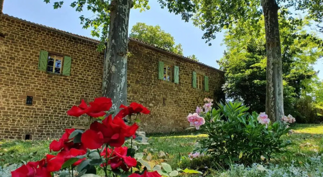 Standart oda Château Labistoul