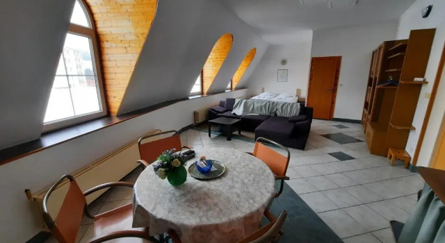 Студия Standard Hotel Koruna