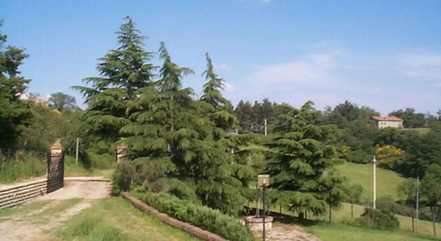 Коттедж Casale Fornello