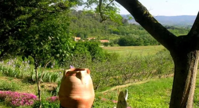 Студия с панорамным видом Domaine Lou Amì