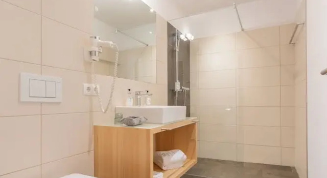 Номер Economy Aparthotel Alpinresort Damüls