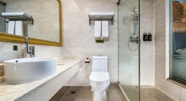 Люкс Business Vienna Hotel (Shenzhen Henggang & Tangkeng Metro Station)
