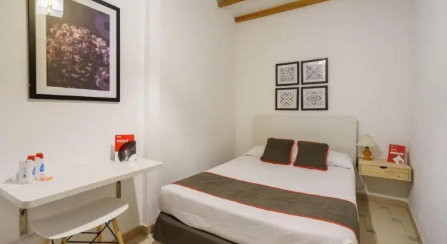 Двухместный номер Standard Hostal Austria