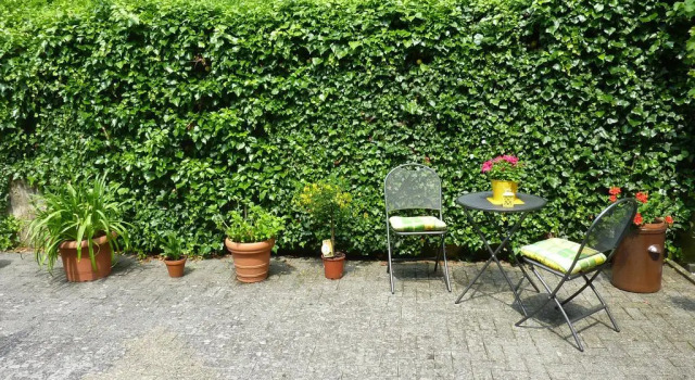 Ferienhaus Marlene
