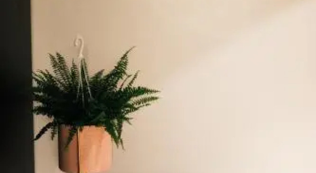 UrbanHOUSE, Забронировать Отель Отели Гаосюн 3 звезды, 3*