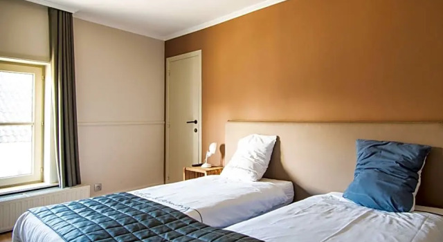 Номер Economy Hotel karel de stoute