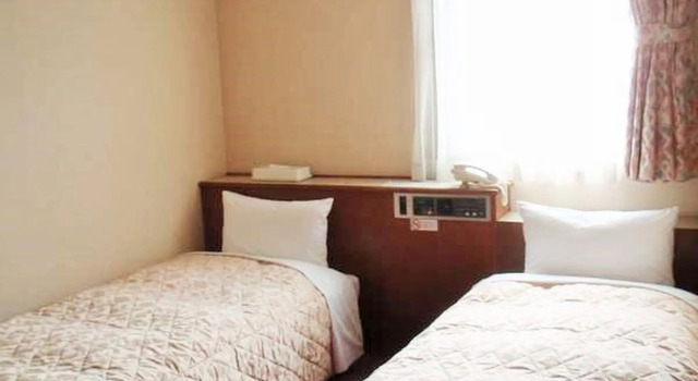 Двухместный номер Standard Nishishinjuku Green Hotel