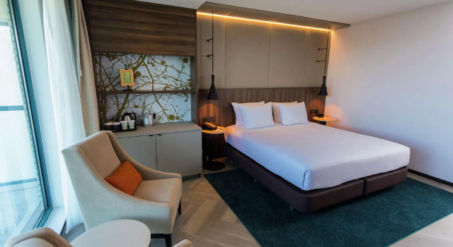 Camera Standard DoubleTree by Hilton Royal Parc Soestduinen