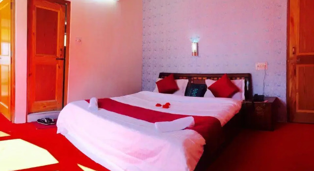 Hotel Alpine Manali