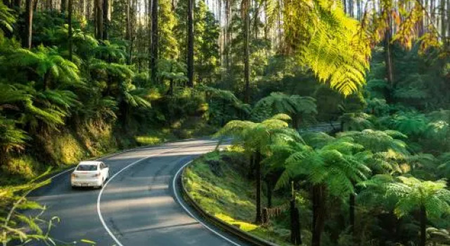 Lithgow Falls Marysville, Забронировать Отель Мэрисвилл Долина Ярра, рядом с Bruno's Art &amp; Sculptures Garden