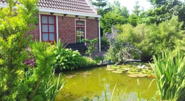 Waddenstee