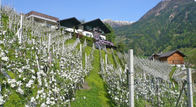 Cosy apartment in the middle of the largest wildlife park in South Tyrol