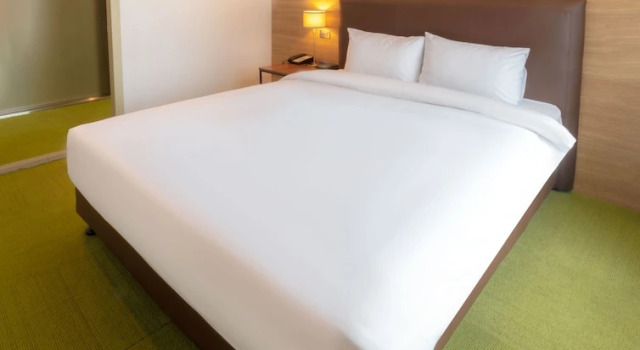 Номер Deluxe International Hotel in Ulaanbaatar