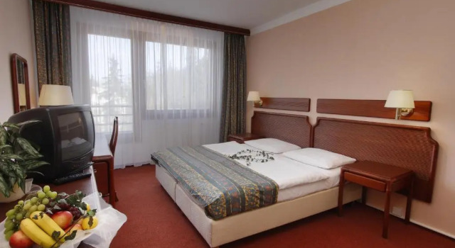 Номер Standard Hotel Krakonoš