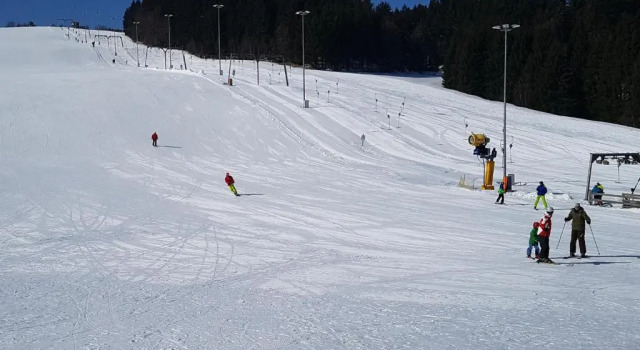 Апартаменты Standard Wald Apartments im Predigtstuhl Resort