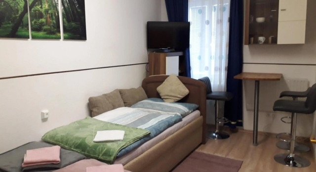 Apartment im Zentrum, Book Apartment Steyr 