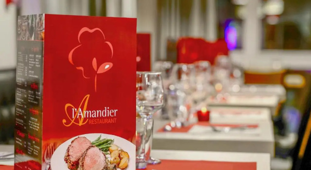Одноместный номер Standard Hôtel lAmandier