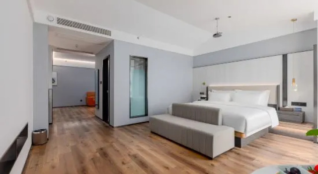 Люкс Deluxe Elong Wanguo Hotel (Jinan Railway Station K88 Famous Spring Plaza)