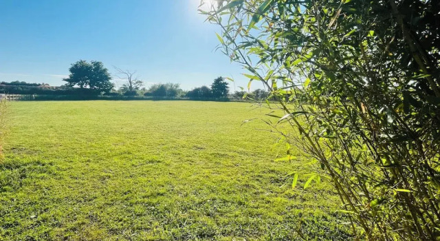 Номер Standard Solo Glamping Pod - Sleeps 4 - Northumberland